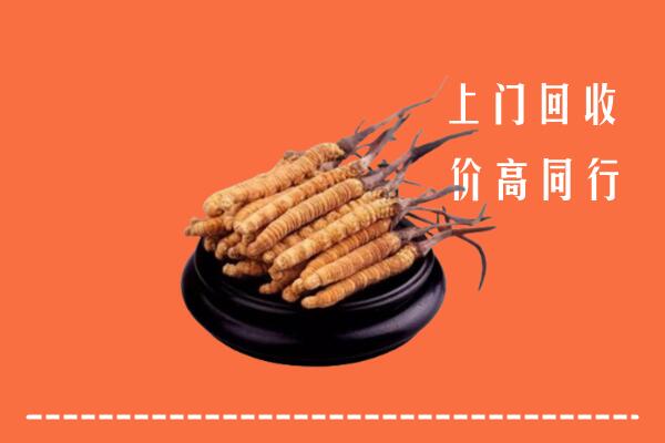 华蓥市回收老洋酒