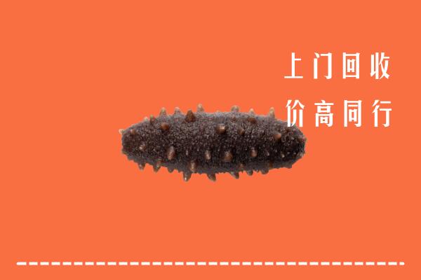 华蓥市回收海参