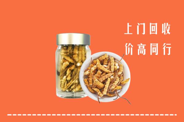 华蓥市回收冬虫夏草